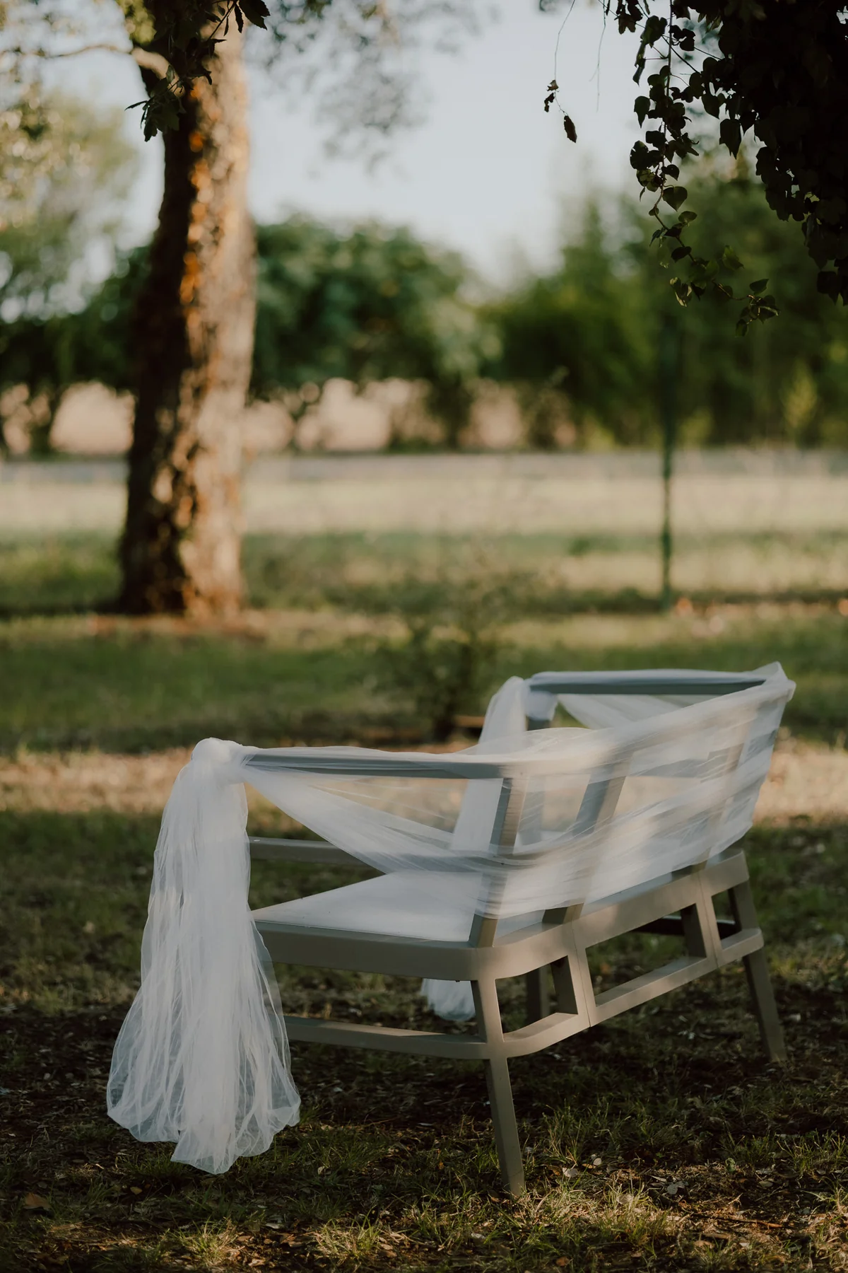 Banc blanc amb tul sota els arbres del jardí